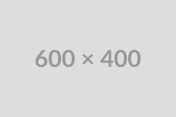 Team working on AI models